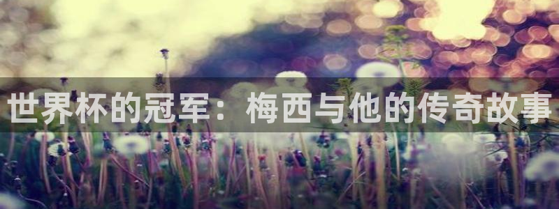 世界杯预选赛欧洲区赛程：世界杯的冠军：梅西与他的传奇故事