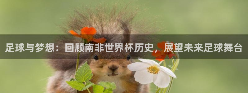 世界杯预选赛欧洲：足球与梦想：回顾南非世界杯历史，展望未来足球舞台