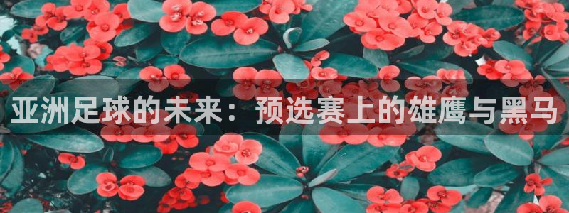 世界杯2026赛程时间表格：亚洲足球的未来：预选赛上的雄鹰与黑马