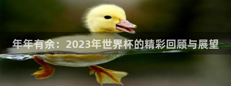 世界杯比赛直播：年年有余：2023年世界杯的精彩回顾与展望