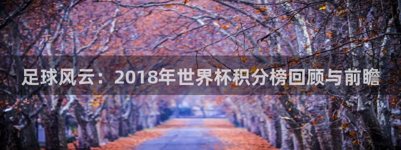 世界杯时间：足球风云：2018年世界杯积分榜回顾与前瞻