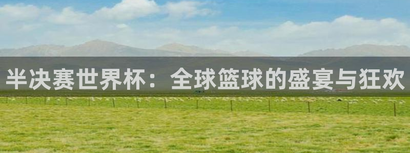 世界杯官网入口：半决赛世界杯：全球篮球的盛宴与狂欢