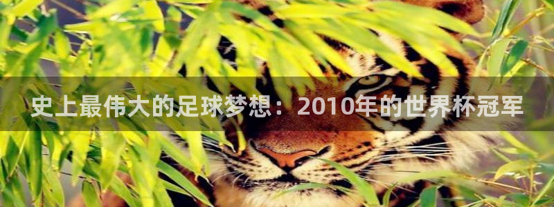 世界杯足球2026：史上最伟大的足球梦想：2010年的世界杯冠军
