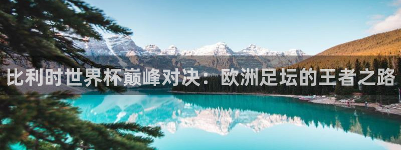 世界杯在线直播入口：比利时世界杯巅峰对决：欧洲足坛的王者之路