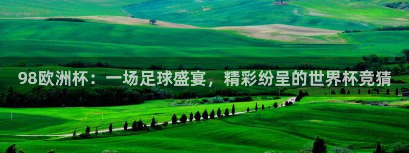 2026世界杯官网入口：98欧洲杯：一场足球盛宴，精彩纷呈的世界杯竞猜
