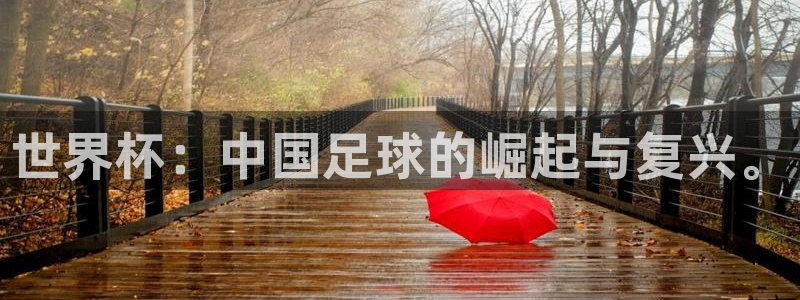 2026世界杯直播：世界杯：中国足球的崛起与复兴。