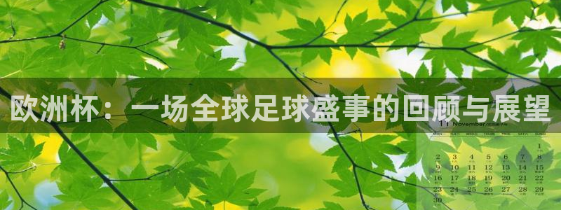 欧洲世预赛赛程表：欧洲杯：一场全球足球盛事的回顾与展望