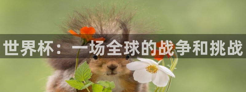 世界杯 赛程：世界杯：一场全球的战争和挑战