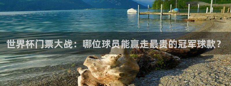 世界杯2026赛制：世界杯门票大战：哪位球员能赢走最贵的冠军球款？