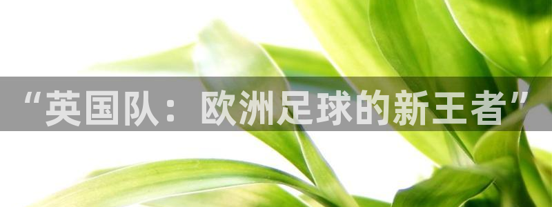 世界杯足球赛2026：“英国队：欧洲足球的新王者”